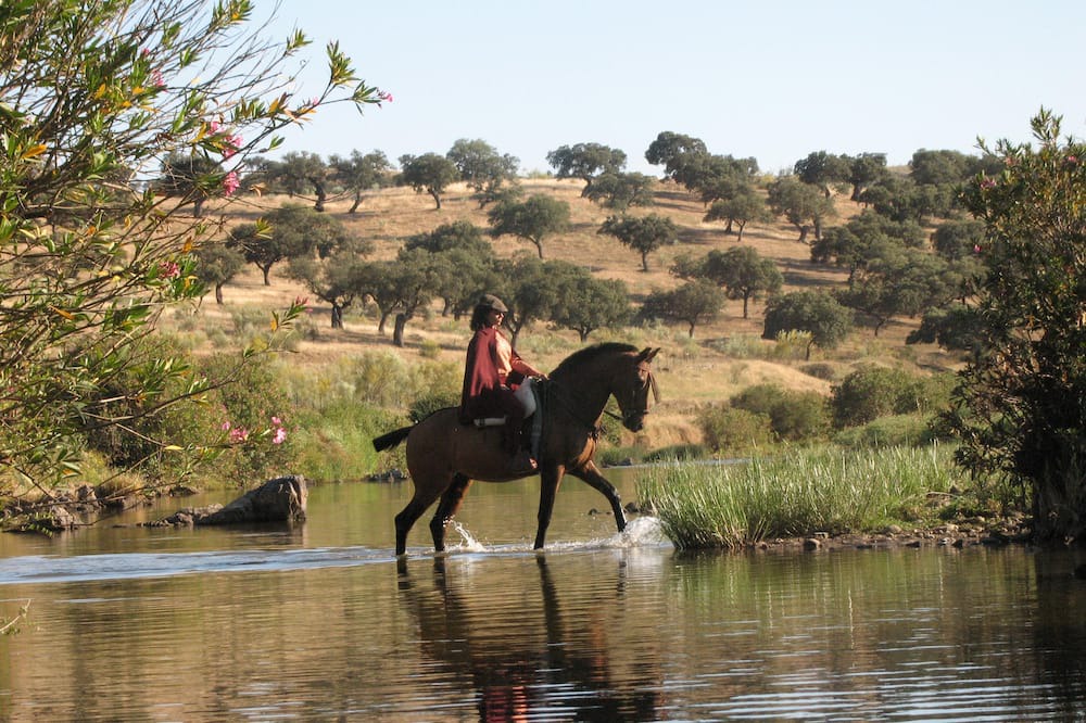 Photo of Outdoor in Atalaya