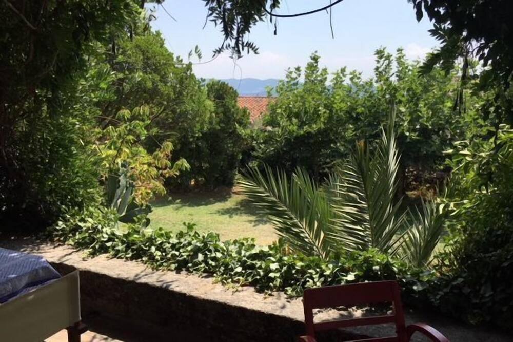 Photo of Outdoor in Piedralaves