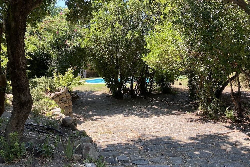Photo of Outdoor in Piedralaves
