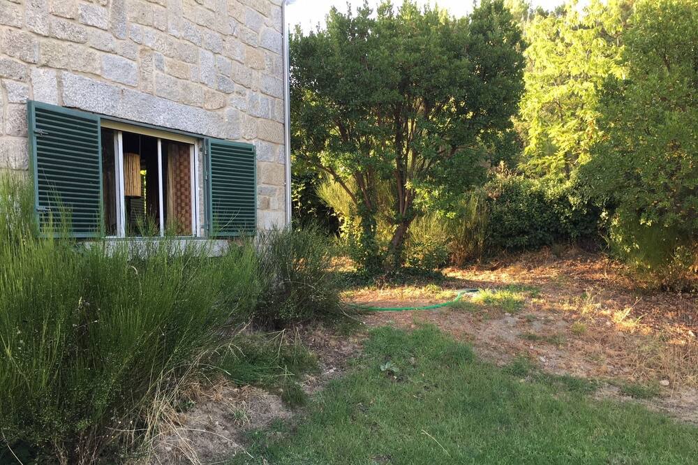 Photo of Outdoor in Piedralaves