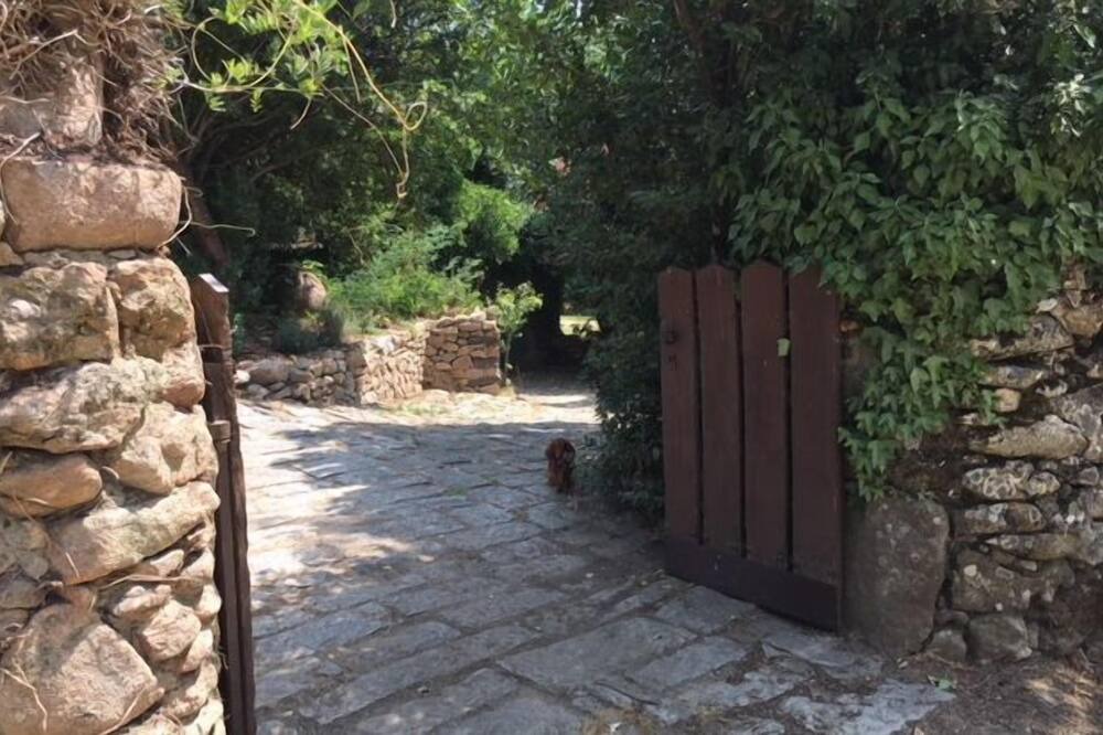 Photo of Outdoor in Piedralaves