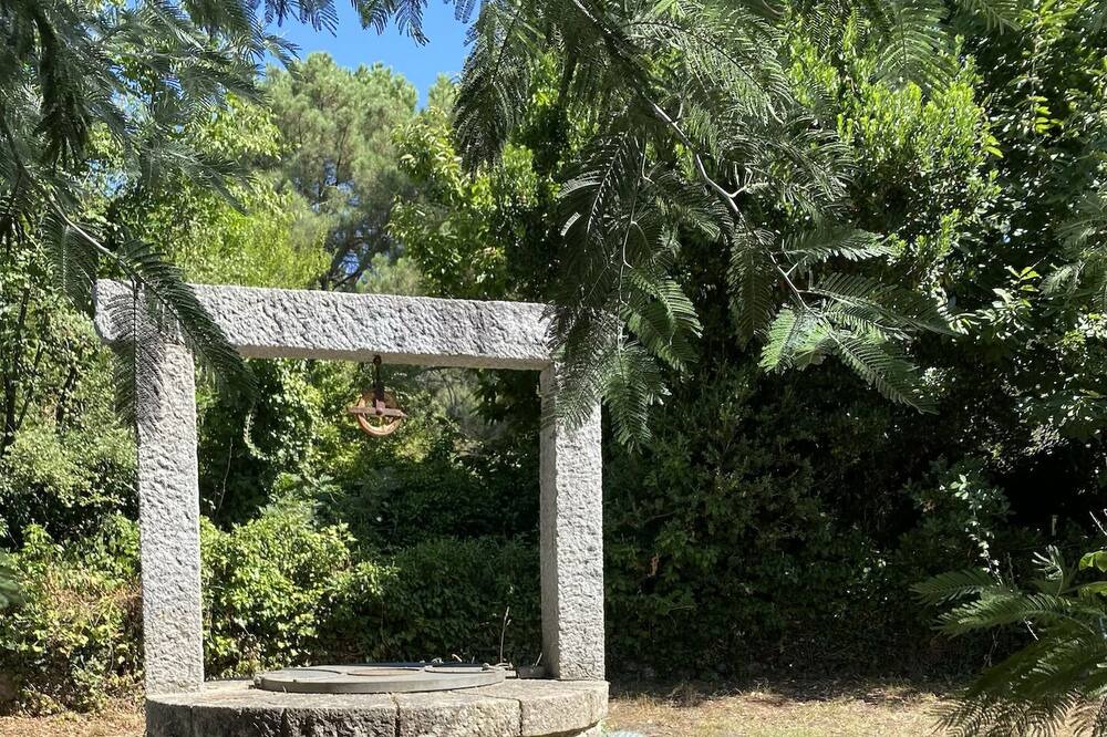 Photo of Outdoor in Piedralaves