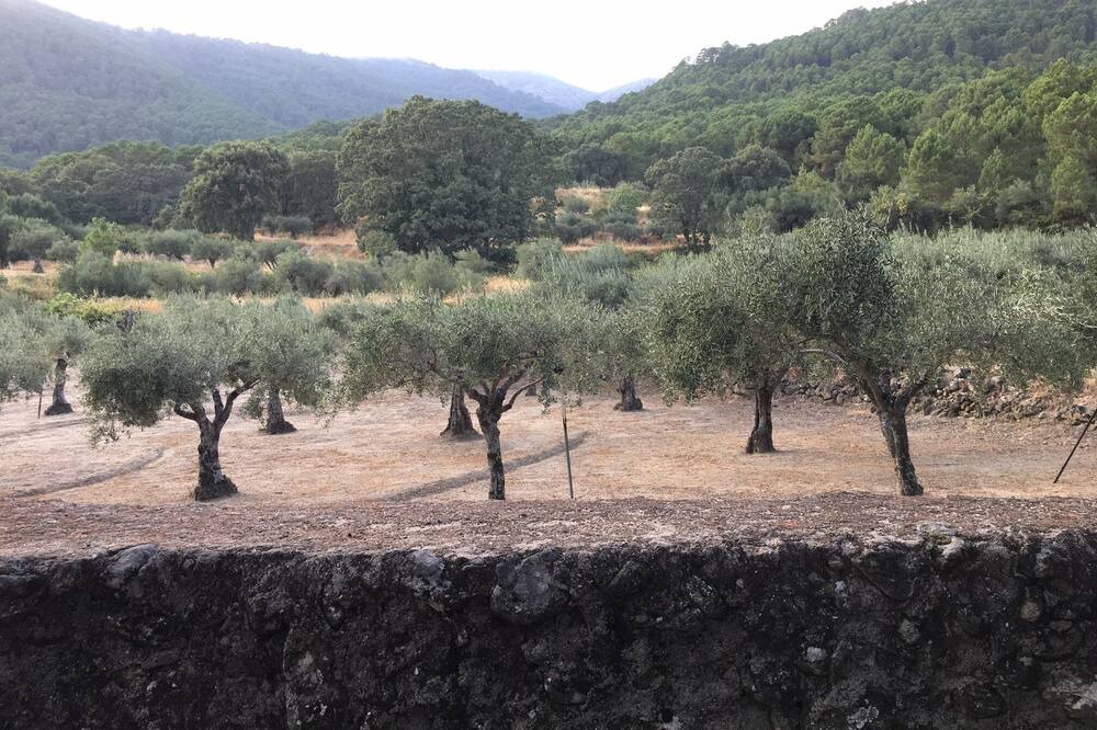 Photo of Outdoor in Piedralaves