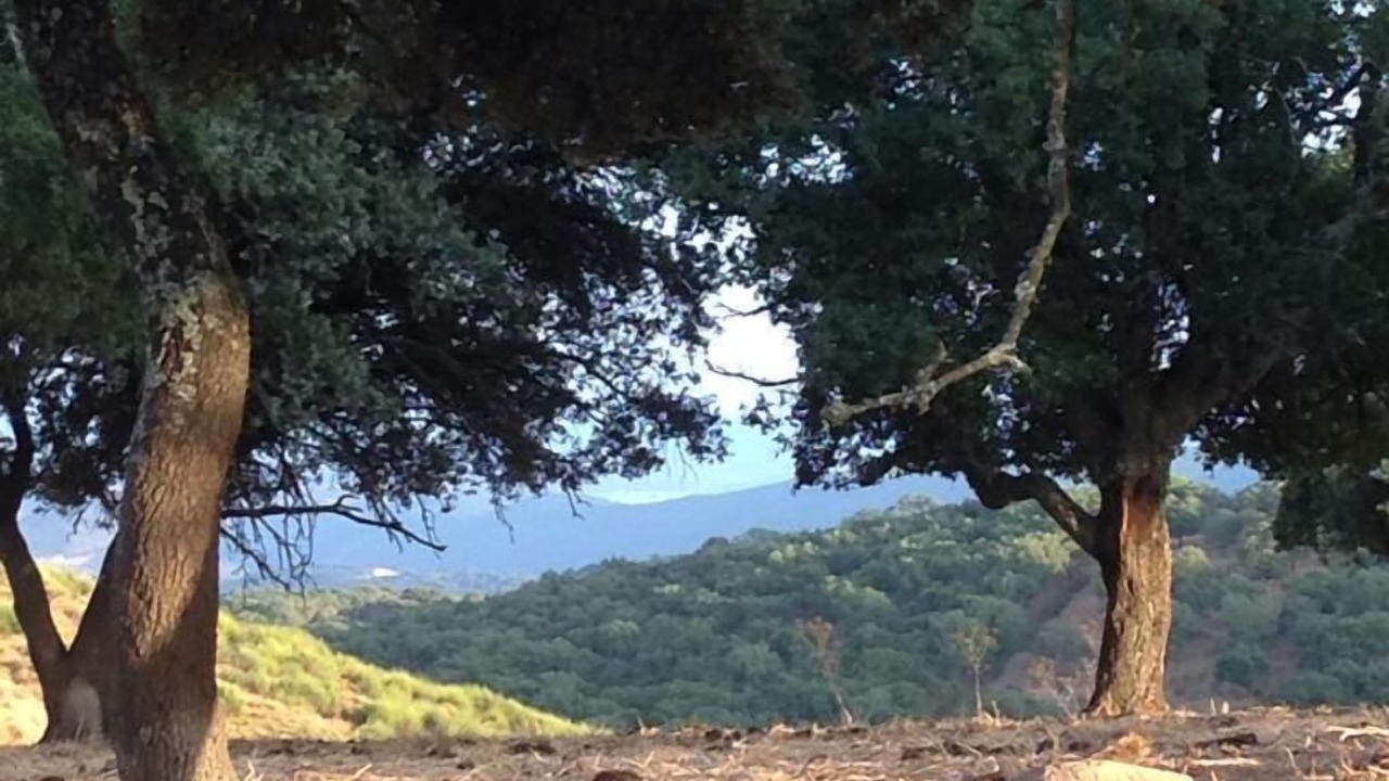 Photo of Outdoor in Hinojales