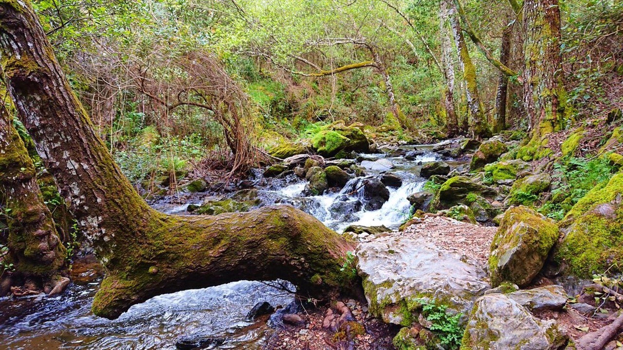 Photo of Outdoor in Hinojales