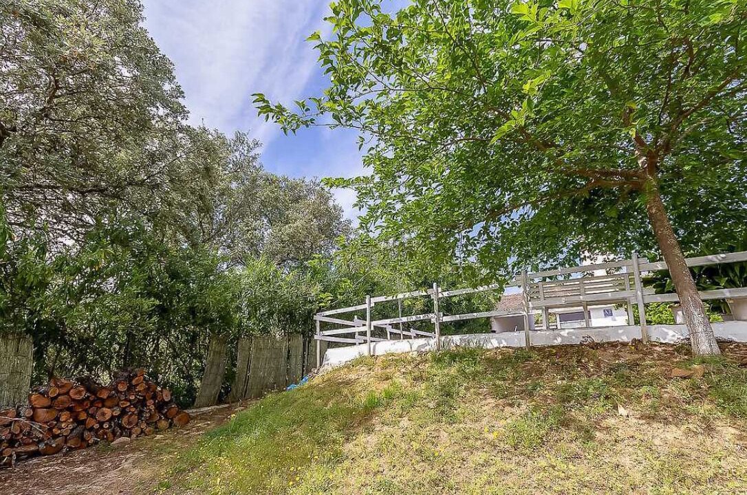Photo of Outdoor in Valdecaballeros