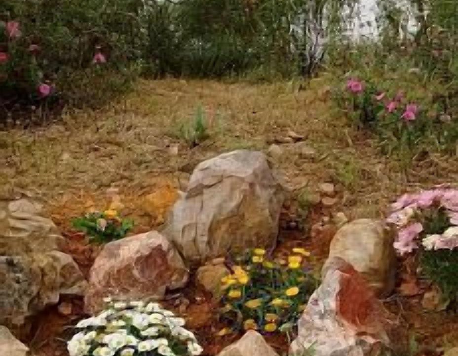 Photo of Outdoor in Valdecaballeros
