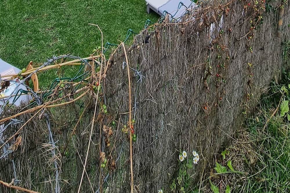 Photo of Outdoor in Tanarrio