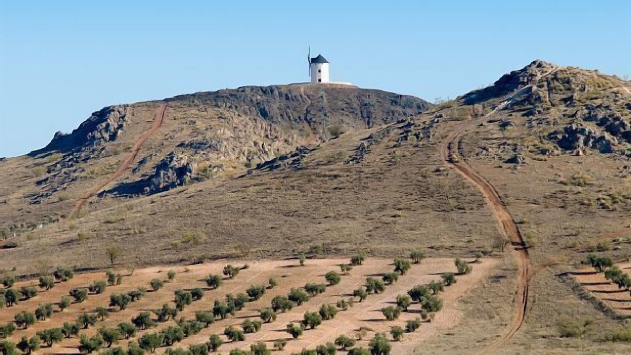 Photo of Outdoor in Herencia