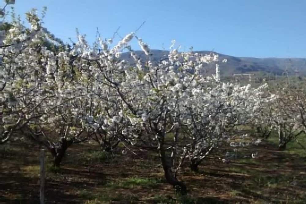 Photo of Outdoor in Cuacos de Yuste