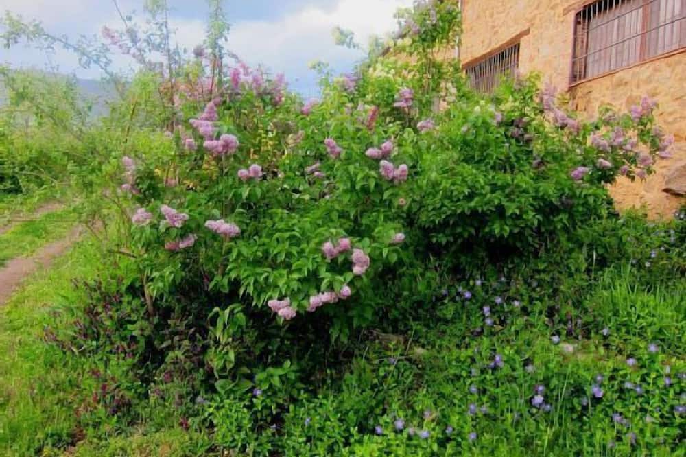 Photo of Outdoor in Cuacos de Yuste