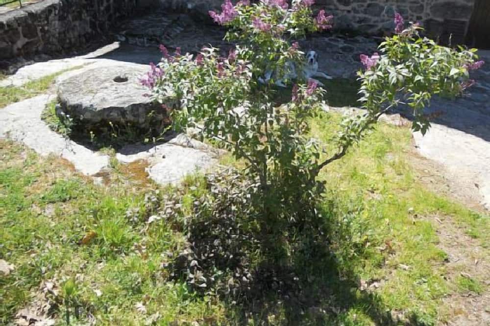 Photo of Outdoor in Cuacos de Yuste