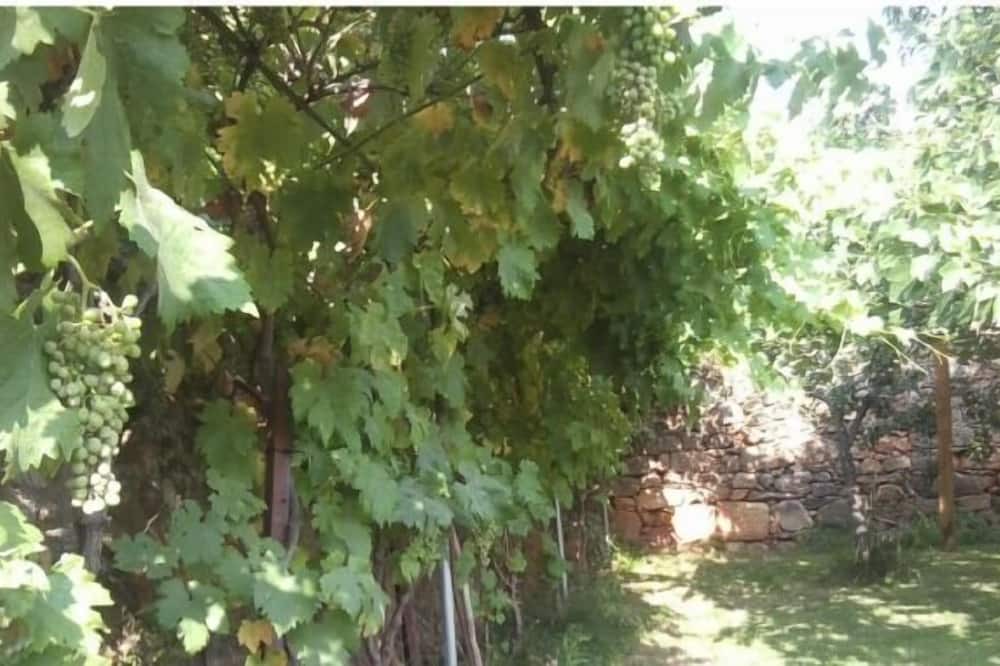 Photo of Outdoor in Villasbuenas de Gata