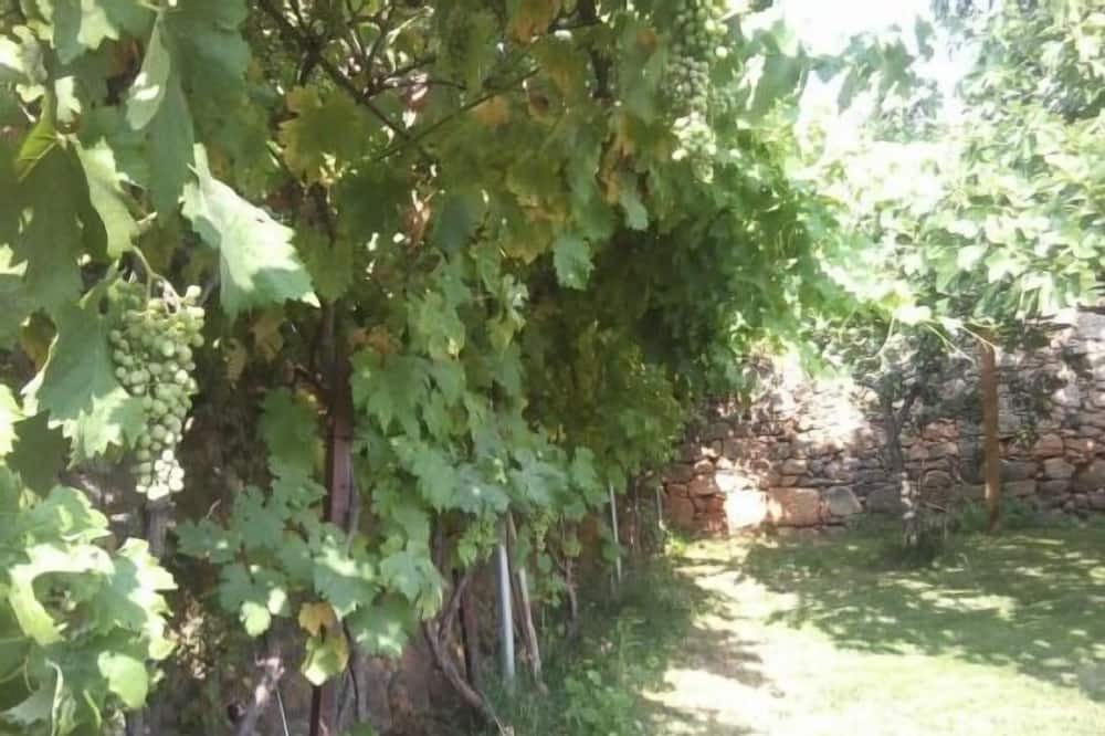 Photo of Outdoor in Villasbuenas de Gata