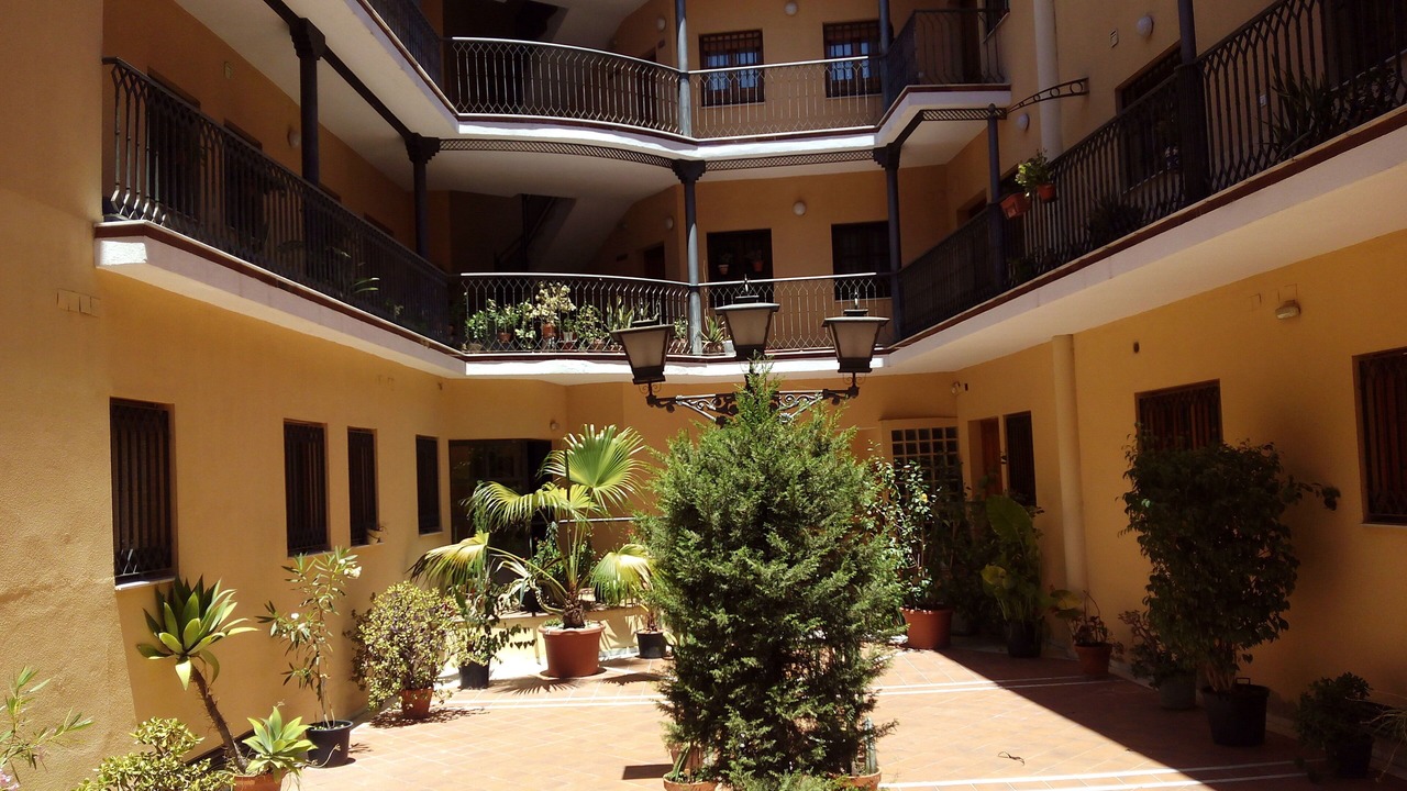 Photo of Outdoor in Alameda