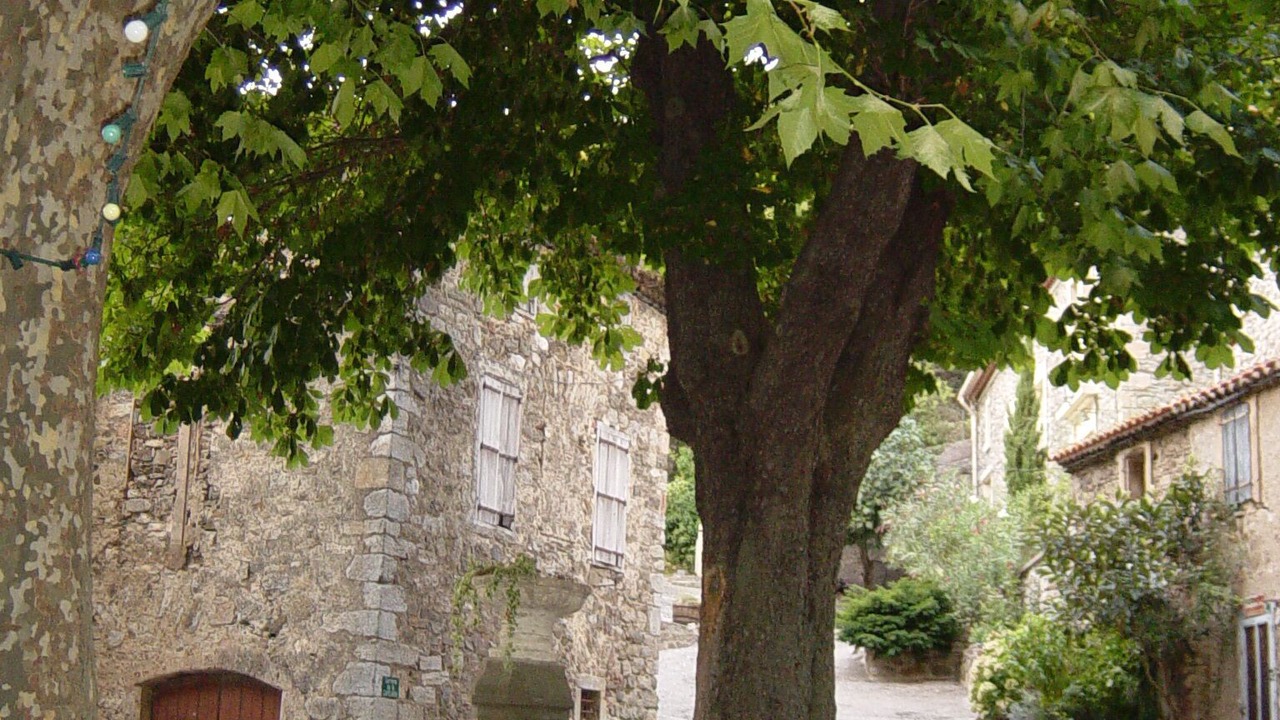 Photo of Outdoor in Palairac
