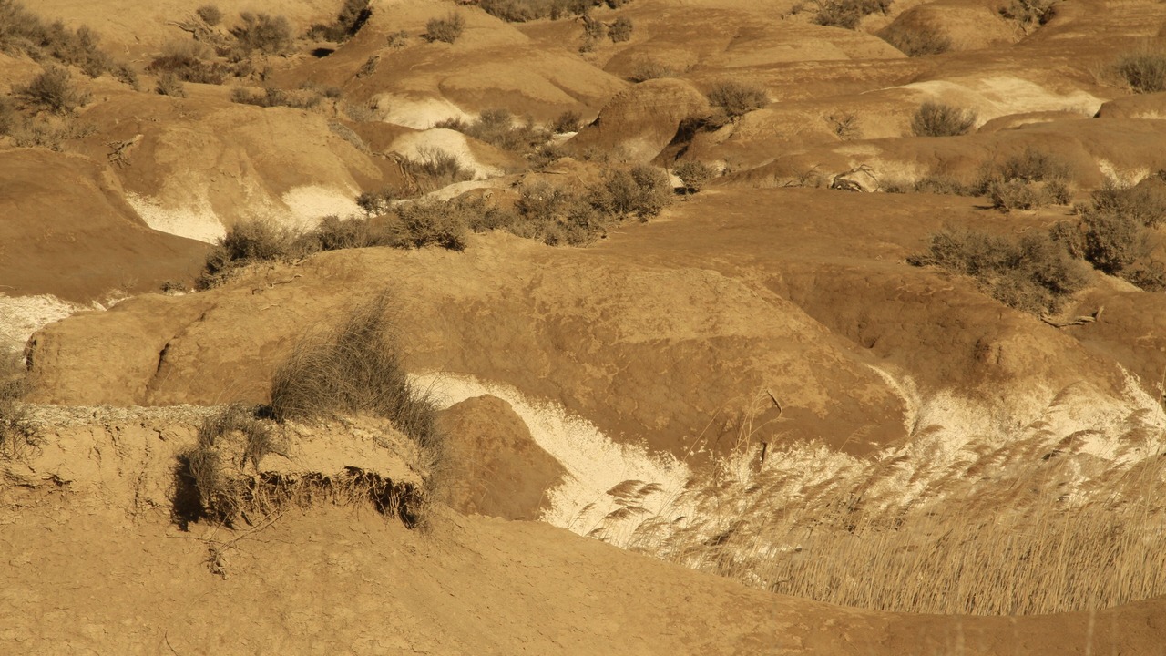 Photo of Outdoor in Arguedas