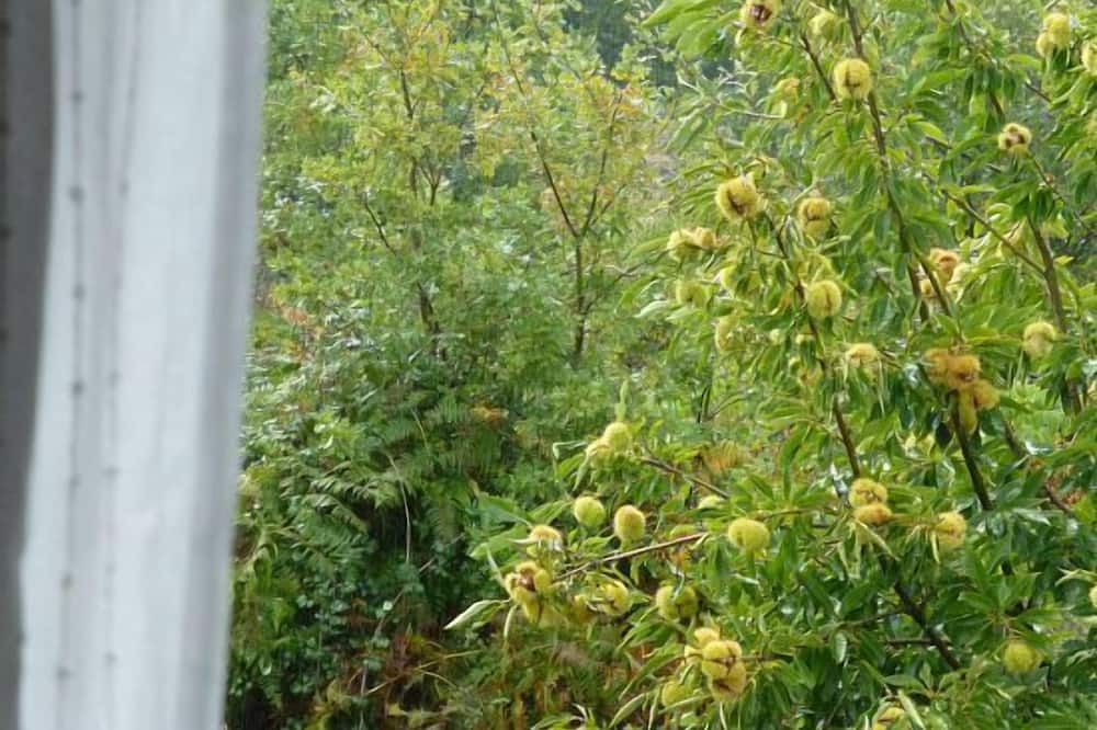 Photo of Outdoor in Gilgarcia