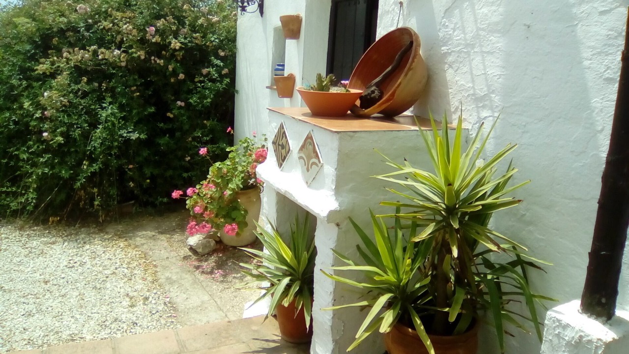 Photo of Patio Balcony in Malaga