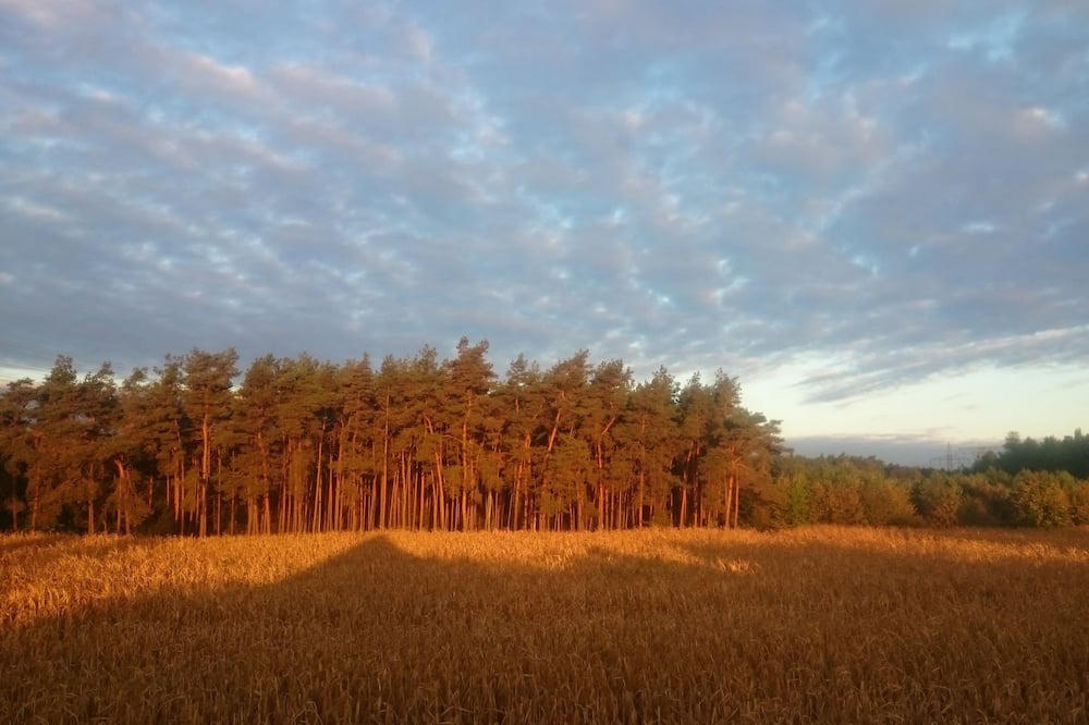 Photo of Outdoor in Bensdorf