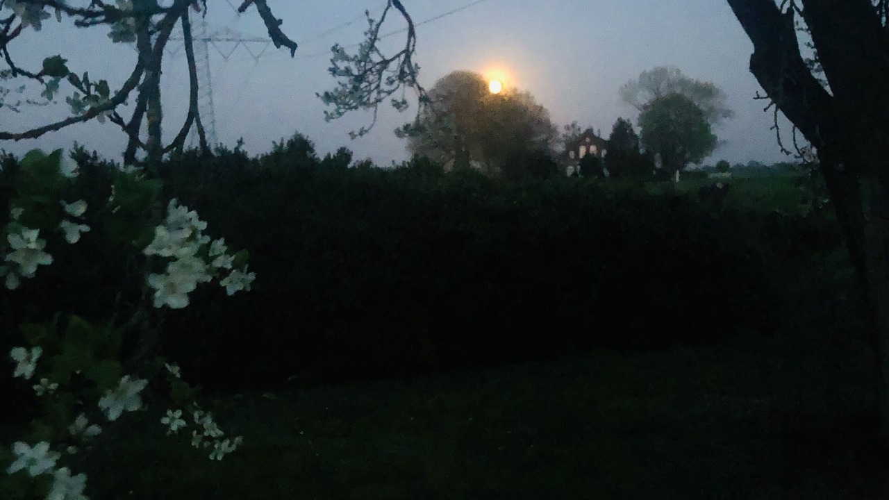 Photo of Outdoor in Jaderaltendeich