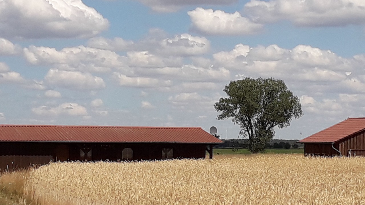 Photo of Outdoor in Bismark