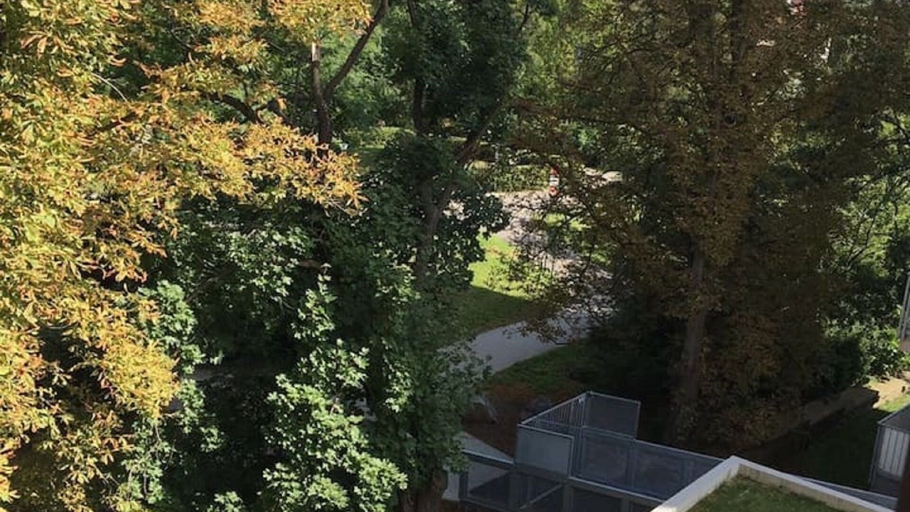 Photo of Outdoor in Prague 10