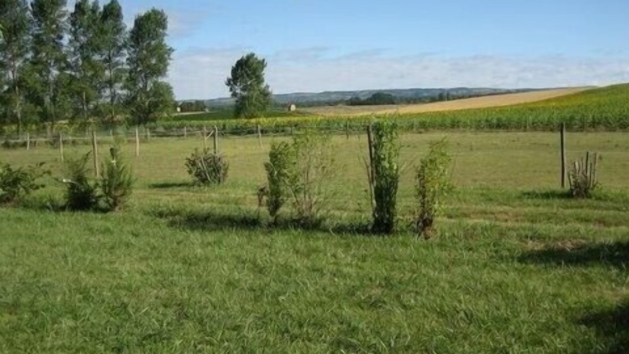 Photo of Outdoor in Carlipa