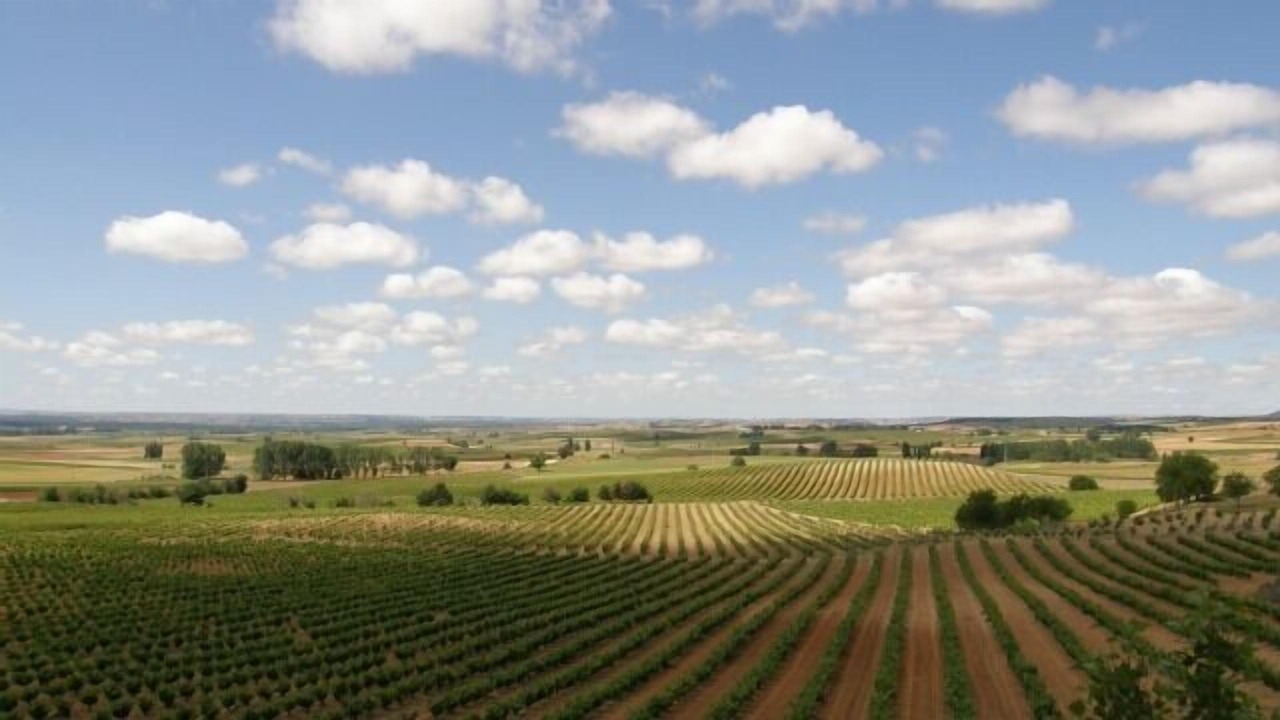 Photo of Outdoor in Sotillo de la Ribera