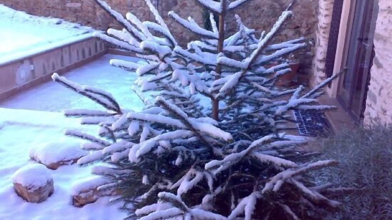 Photo of Outdoor in Tabladillo