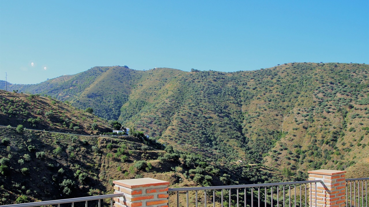 Photo of Outdoor in Canillas de Aceituno