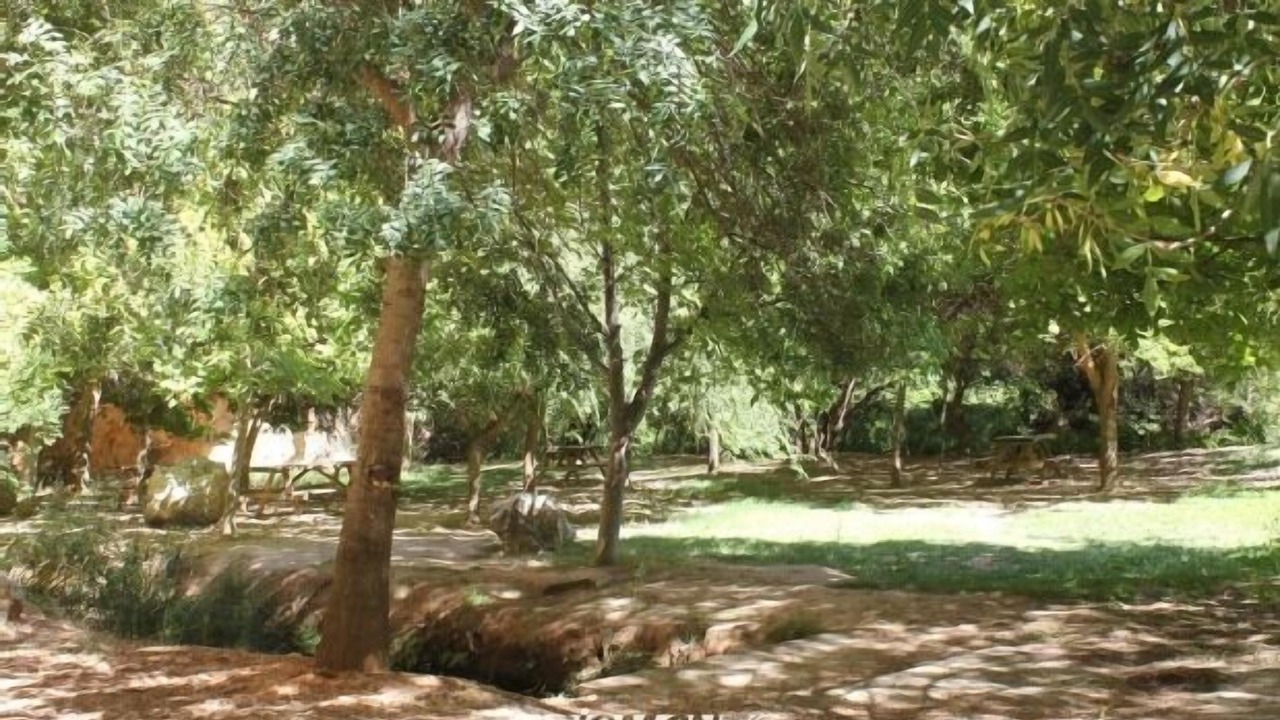 Photo of Outdoor in Granja de San Pedro