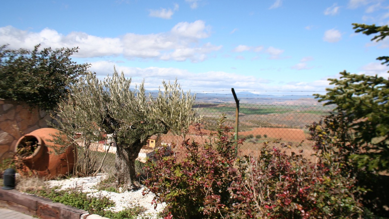 Photo of Outdoor in Ciruelas