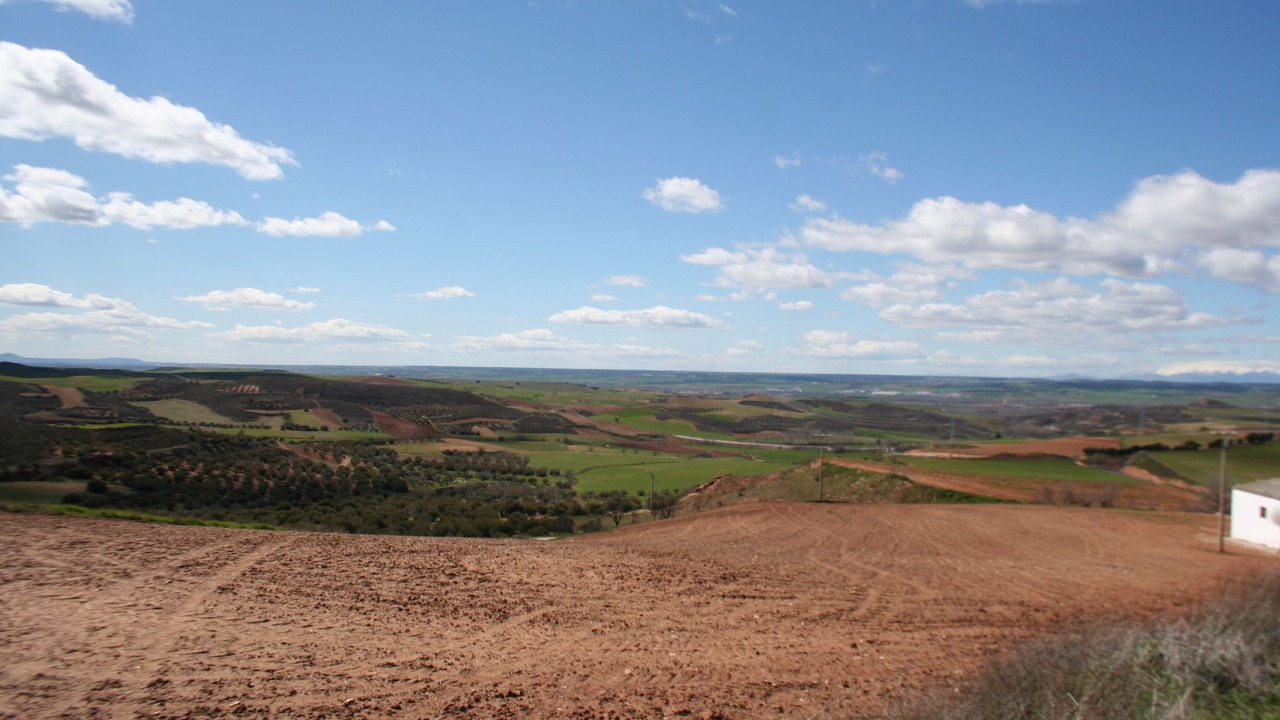 Photo of Others in Ciruelas