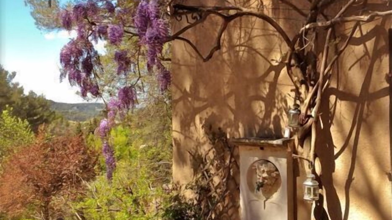 Photo of Outdoor in Simiane-Collongue
