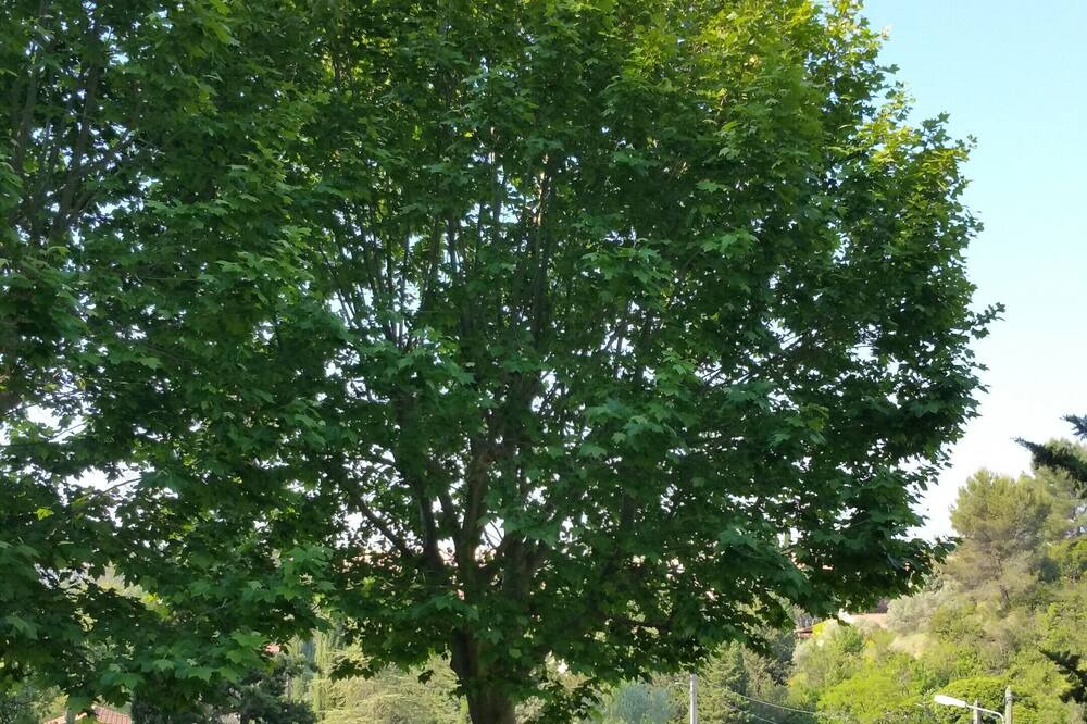 Photo of Outdoor in Nord