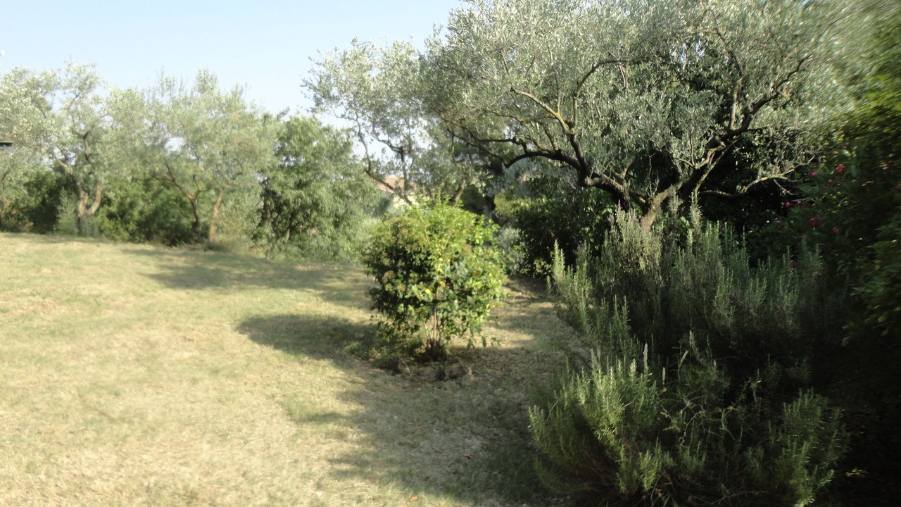Photo of Outdoor in Chateauneuf-du-Pape