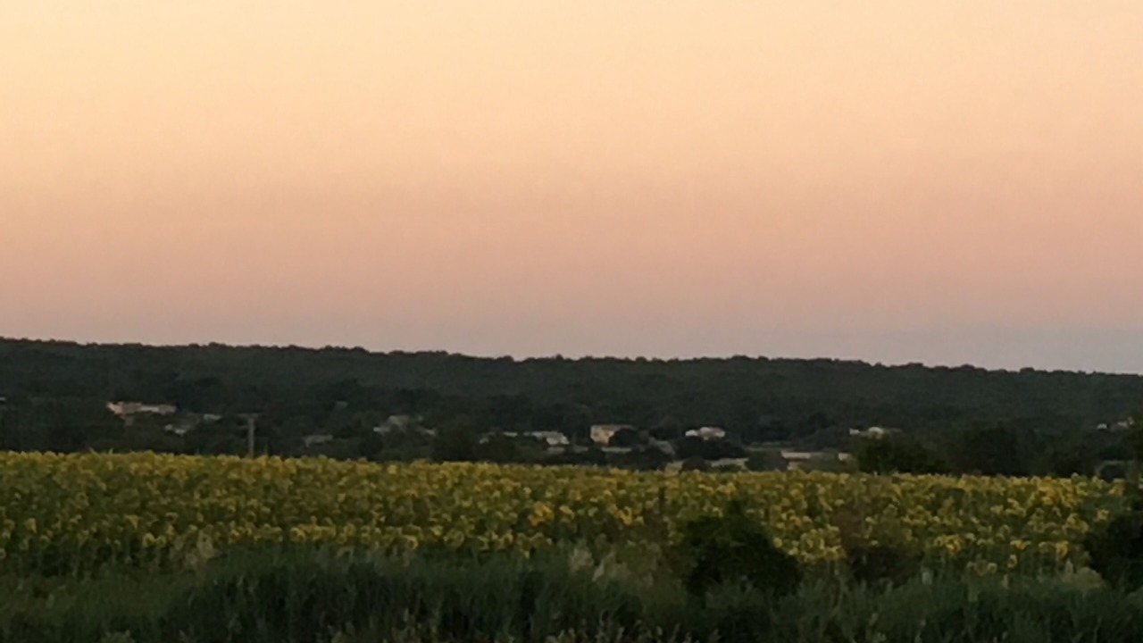 Photo of Others in Garrigues-Sainte-Eulalie