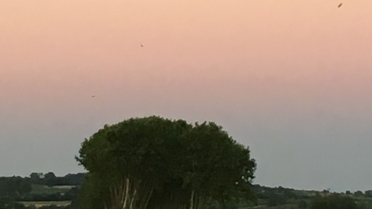 Photo of Others in Garrigues-Sainte-Eulalie