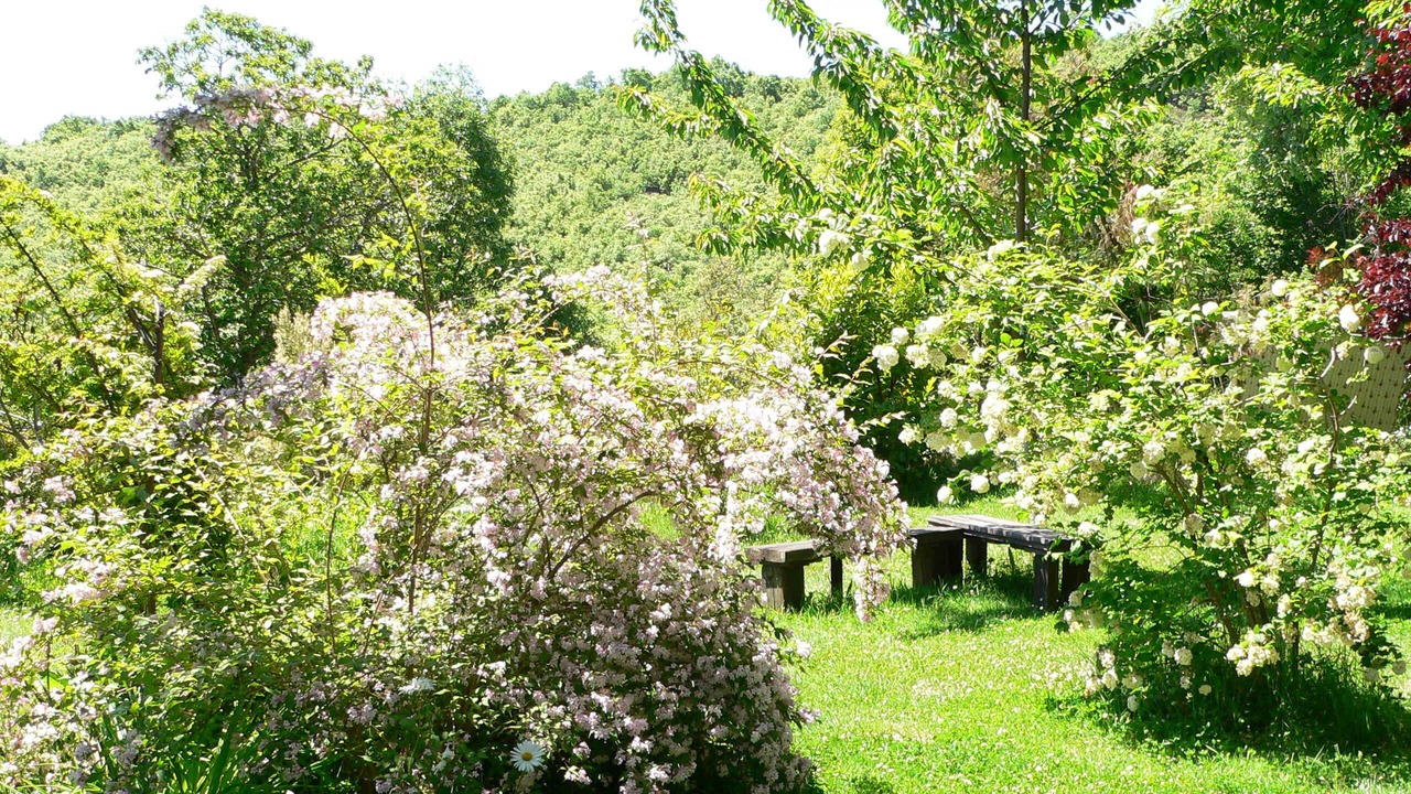 Photo of Outdoor in Avedillo de Sanabria