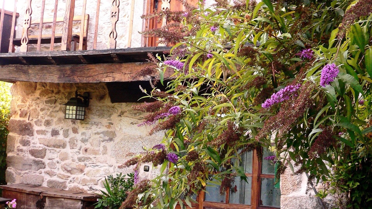 Photo of Outdoor in Avedillo de Sanabria