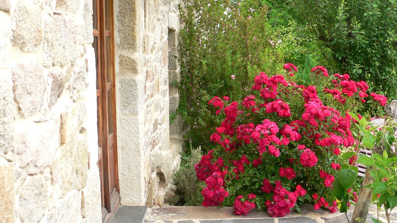 Photo of Outdoor in Avedillo de Sanabria
