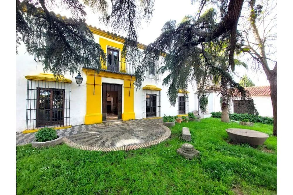 Photo of Outdoor in El Real de la Jara