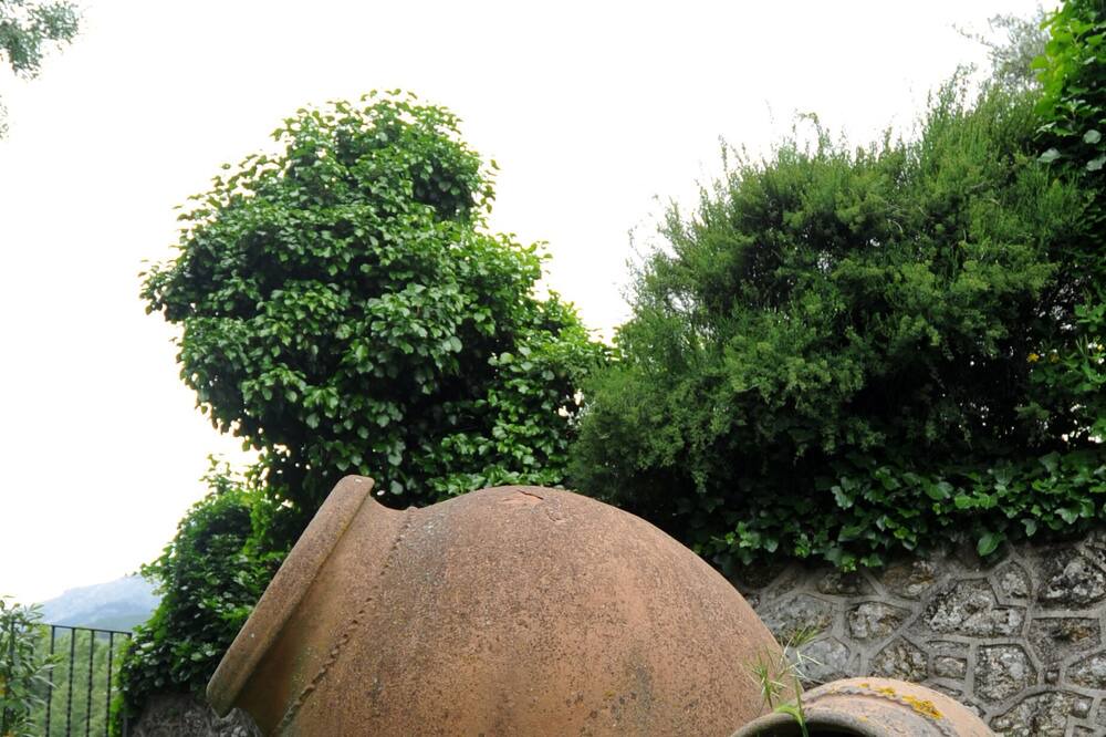 Photo of Outdoor in La Higuera