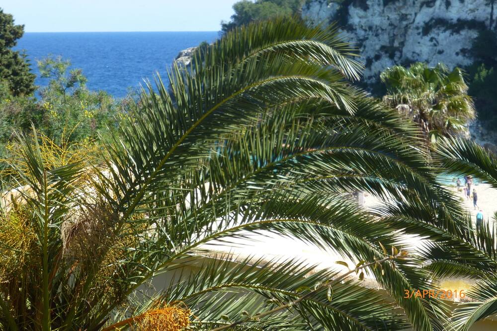 Photo of Outdoor in Cala Anguila-Cala Mendia