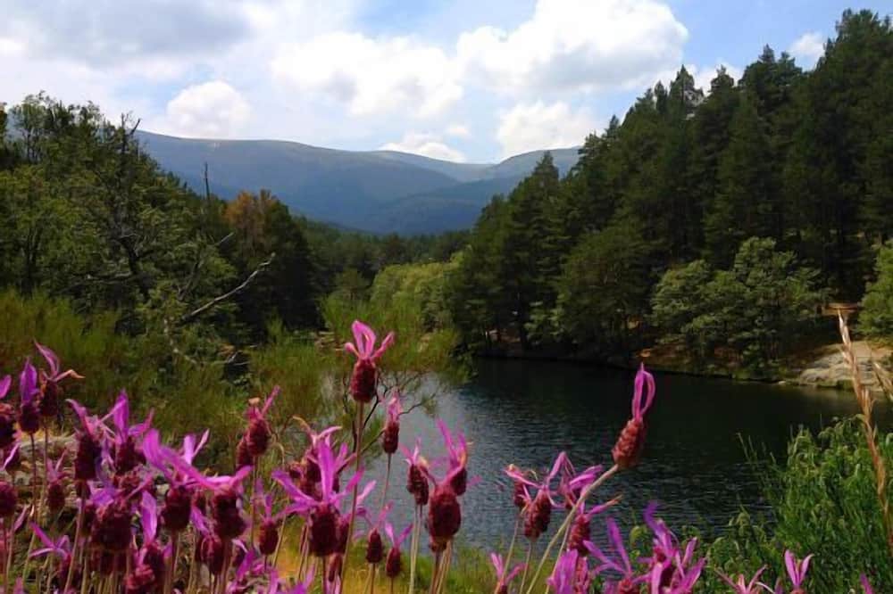 Photo of Outdoor in Rascafria