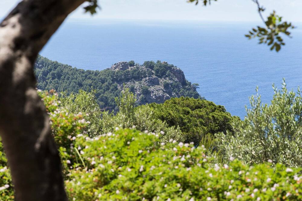Photo of Outdoor in Escorca