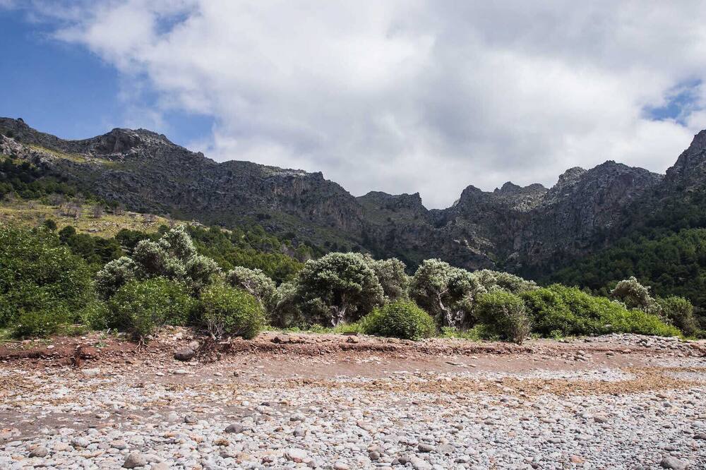 Photo of Outdoor in Escorca