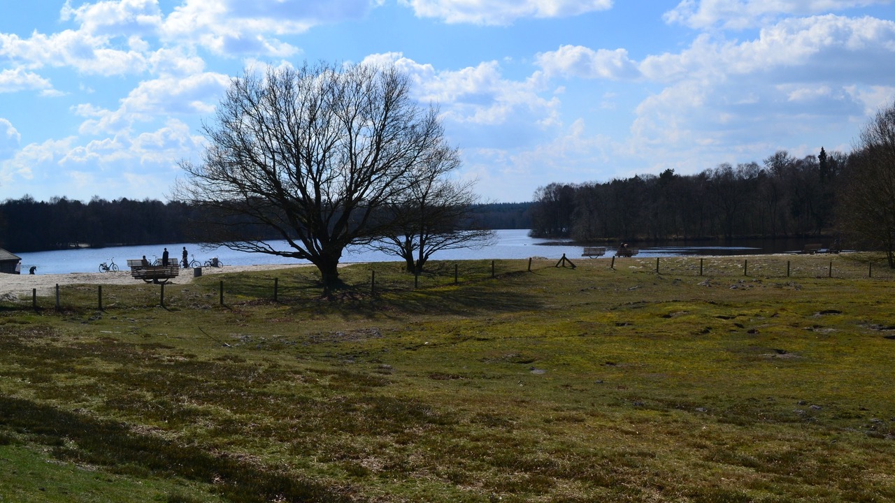 Photo of Outdoor in Petersfeld