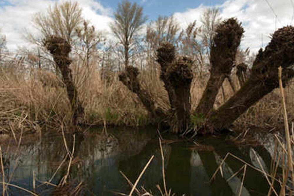 Photo of Others in Cumlosen